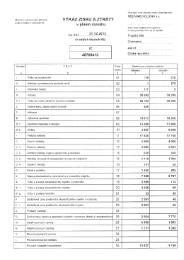 V&yacute;kaz zisků a ztr&aacute;t RESTAMO HOLDING a.s., 2013