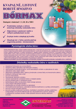 Pozr&iacute; prospekt B&oacute;rmax (PDF)