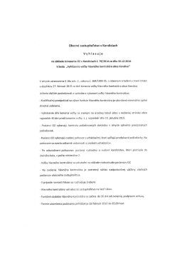 Výzva (PDF: 381 KB)