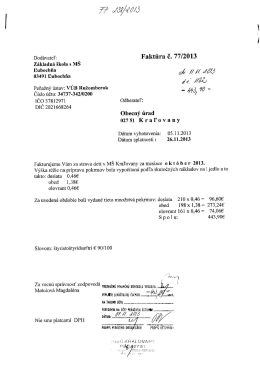 fakt&uacute;ra 238_2013