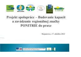 Zavádzanie značky Ponitrie (T. Kozolka)