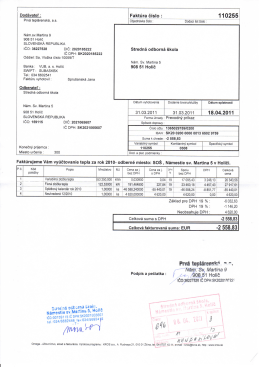 110255 - SO&Scaron; Hol&iacute;č