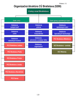 Schéma organizačného poriadku colného úradu