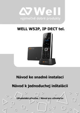 WELL W52P, IP DECT tel.