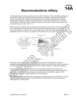 14A Neuromuskularne reflexy s ACC.pdf