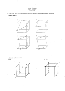 Rezy kocky _HW.pdf