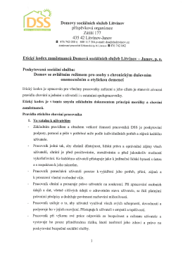 Etick&yacute; kodex - DZR1