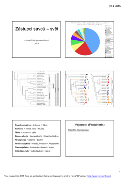 Zástupci savců – svět