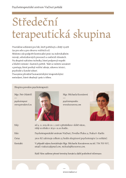 tředečn&iacute; terapeutick&aacute; skupina