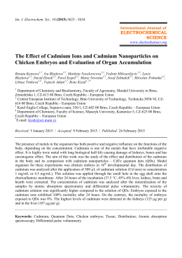 The Effect of Cadmium Ions and Cadmium Nanoparticles on