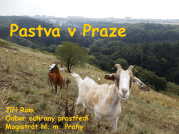Specifika pastvy ve zvláště chráněných územích v Praze