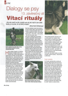 V&iacute;tac&iacute; ritu&aacute;ly