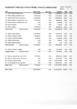 ROZBOROVÝ PŘEHLED o STAVU PŘÍJMŮ, VÝDAJŮ A