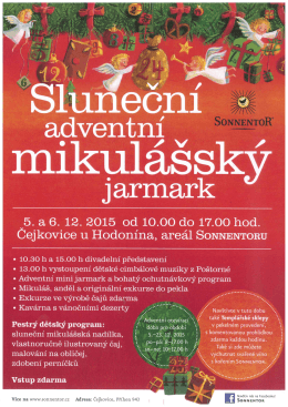 Př&iacute;loha č. 1