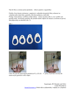 Nácvik flexe a extenze prstu (pomůcka – obnova panelu z ergostolku)