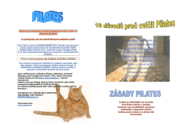 Jeho cílem je obnovit ZDRAVÉ DRŽENÍ TĚLA. Vytváří nové pohybové