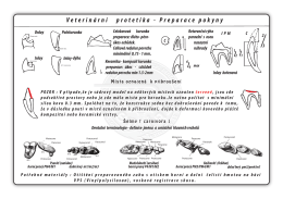 Veterinární protetika preparace pokyny