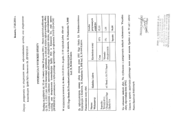 Fotografia na całej stronie