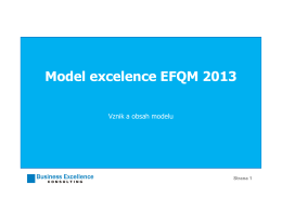 Model excelence EFQM 2013