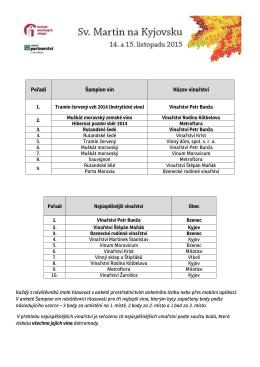 STL Martin na Kyj&uacute;vsku