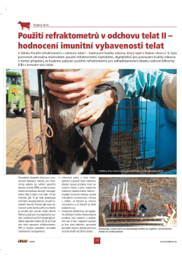Použití refraktometrů v odchovu telat II -
