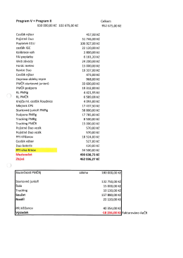 Pojistné Duo 51 746,00 Kč