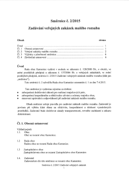 Směrnice 2/2015 zadávání veřejných zakázek malého