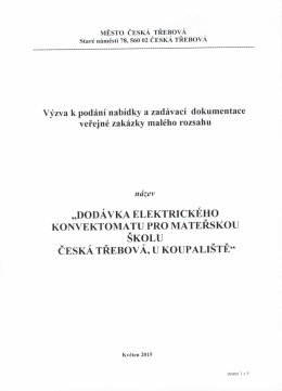 V&yacute;zva k pod&aacute;n&iacute; nab&iacute;dky a zad&aacute;vac&iacute; dokumentace veřejn&eacute; zak&aacute;zky