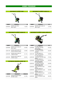 HOBBY PROGRAM