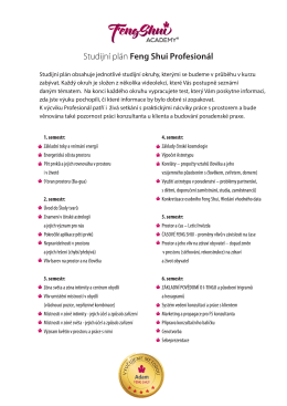 Studijn&iacute; pl&aacute;n Feng Shui Profesion&aacute;l