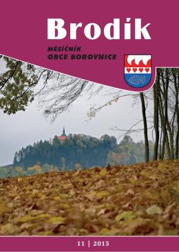 Listopad - Borovnice