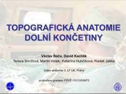 Topografie dolní končetny