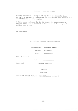 INSECTS - BALDWIN SWAMP