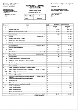 vyhlášky č. 500/2002 Sb. VÝKAZ ZISKU A ZTRÁTY - V