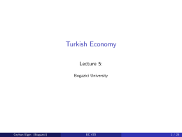 Turkish Economy