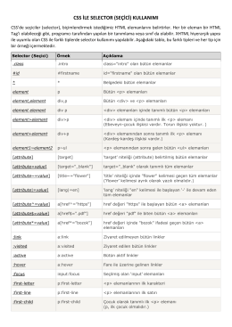 CSS İLE SELECTOR (SEÇİCİ) KULLANIMI