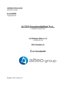 Az ALTEO Nyrt. 2015. évi egyedi beszámolója