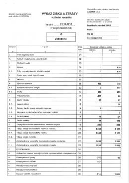 výkaz zisků a ztrát 2014