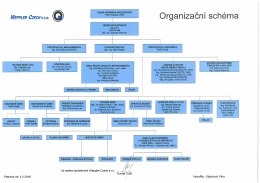 Organizační schéma