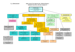 Organizační struktura řízení školy