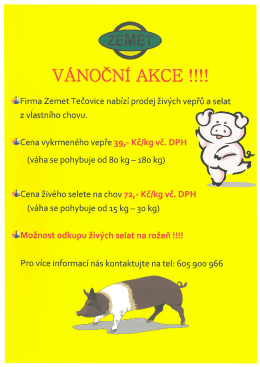 VÁNOČNÍ AKCE !!!!