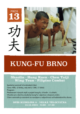 Workshop brněnských Kung Fu škol