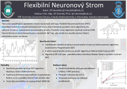 Flexibilní Neuronový Strom