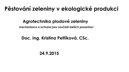 Petříková - plodová zelenina