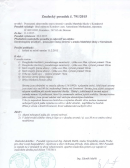 Znaleck&yacute; posudek č. 791/2015