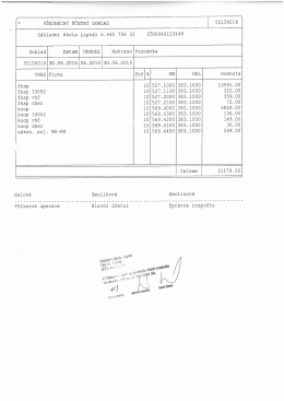 * V&Scaron;EOBECN&Yacute; &Uacute;ČETN&Iacute; DOKLAD 55150016