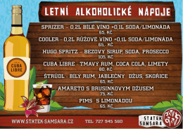 Letn&iacute; n&aacute;poje