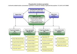 Organizační struktura projektu