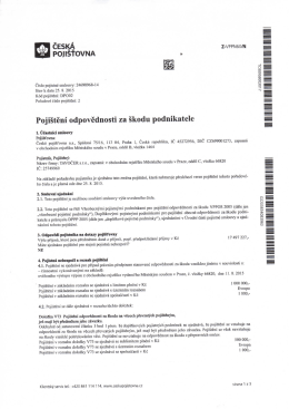 Pojištění odpovědnosti za škodu podnikatele