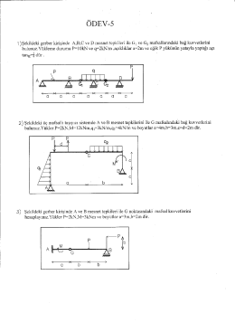 rijit cismin d&uuml;zlemde dengesi